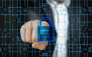 乐鱼体育官网登录-数字化体育资源共享平台建设与管理，数字体育平台是什么