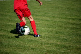 乐鱼体育官网登录-篮球专项技能训练规范体系建设,篮球专项能力