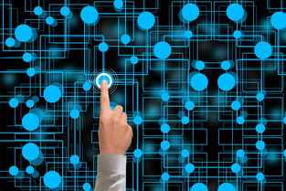 冬奥会遗产利用与社会价值实现研究，冬奥会遗产战略计划